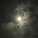 Owl’s Void Discord Server Icon