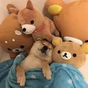 kpoppie hangout