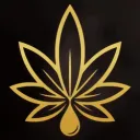 Midlife Stoners (30+)