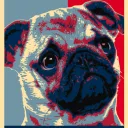 Pugs not drugs