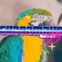 Los Guacamayos
