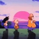 KameHouse Dokkan [FR]