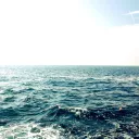 Ocean family