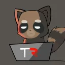 Tech Raccoon's Server