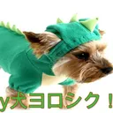 PapyLIVE用ディスコ