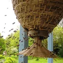 The Hive