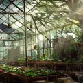 The Greenhouse