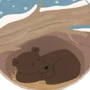 The Bear Den