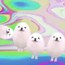The eggdog cult
