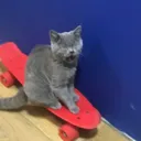 избавление от скуки