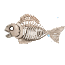 🎃🦈HAPPY FISHOWEEN🤡🦐