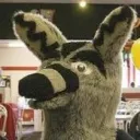 Funky Official Discord