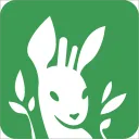 Last Forest Community