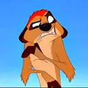 suricata Lover's