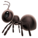 Ants