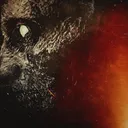 RadioRaccoon