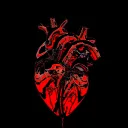 Robots and organs.