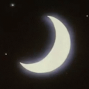 Moonlit Paws