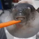 木箱のサーバー