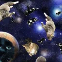 Miaus Galacticos 🐱