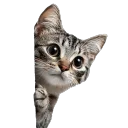 Earthians Discord Server Icon