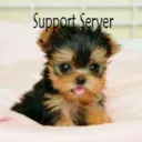 Support Oficial Little Robot