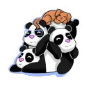 Rex's Community Server