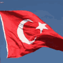 Discovery icon for | TA | Turkish Armed Forces Discord server