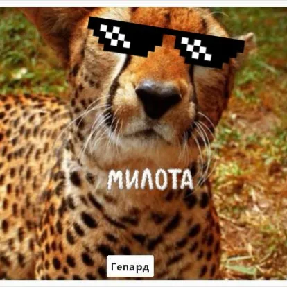 Миниигры - Discord Server Миниигры - Discord Server
