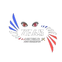 ZE-Modding