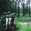P.T. The Novel