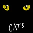 ⭐Cats⭐