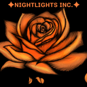 ✦ ɴɪɢʜᴛʟɪɢʜᴛꜱ ɪɴᴄ. ✦ Server Icon