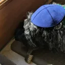 Ziggy's Synagogue