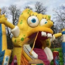 Spongecock