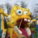 Spongecock