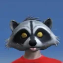 Racoon Crew