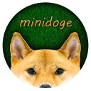 Minidoge