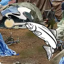 Salmon Methnostate