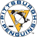 Penguins Rink