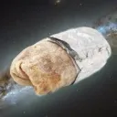 maso burrito