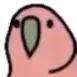あねごの課題サーバー