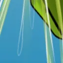 The Wet Place