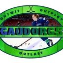 GaudORGS