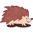 Xandy's Hedgehogs