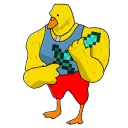quackcord