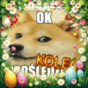 r/okkolegamajowkowy