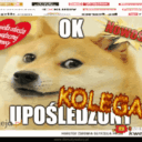r/okkolegawakacyjny