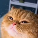 Velos DIS