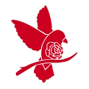 Rowan Progressives